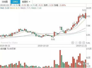 东华软件连涨七天 是继续走牛，还是即将回调？