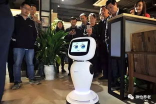 养老头条 | 中国保险报 税延养老保险需关注四个关键问题——计算机系统集成服务视角下的深度解析
