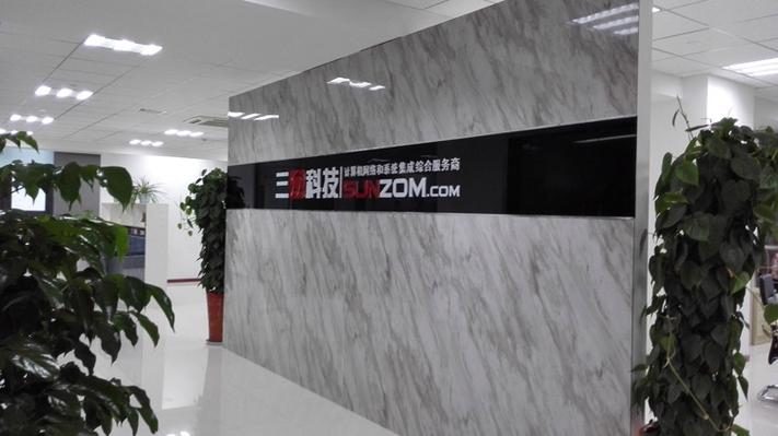 是一家集软件开发,网站建设,智能化建设,系统集成,虚拟动漫,金融信息